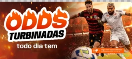 Segurança Depósitos 234br