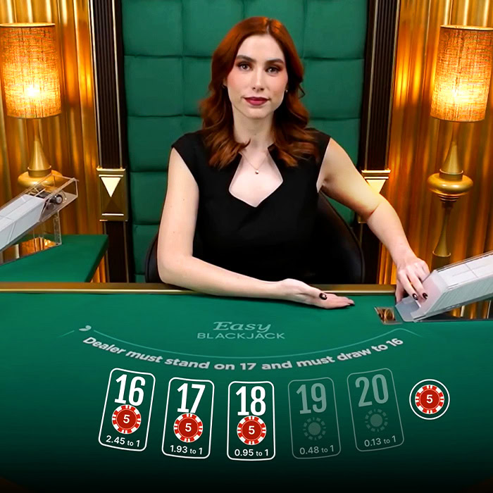 Blackjack 234br